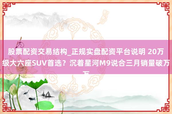 股票配资交易结构_正规实盘配资平台说明 20万级大六座SUV首选？沉着星河M9说合三月销量破万