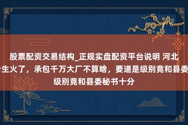 股票配资交易结构_正规实盘配资平台说明 河北一26岁后生火了，承包千万大厂不算啥，要道是级别竟和县委秘书十分